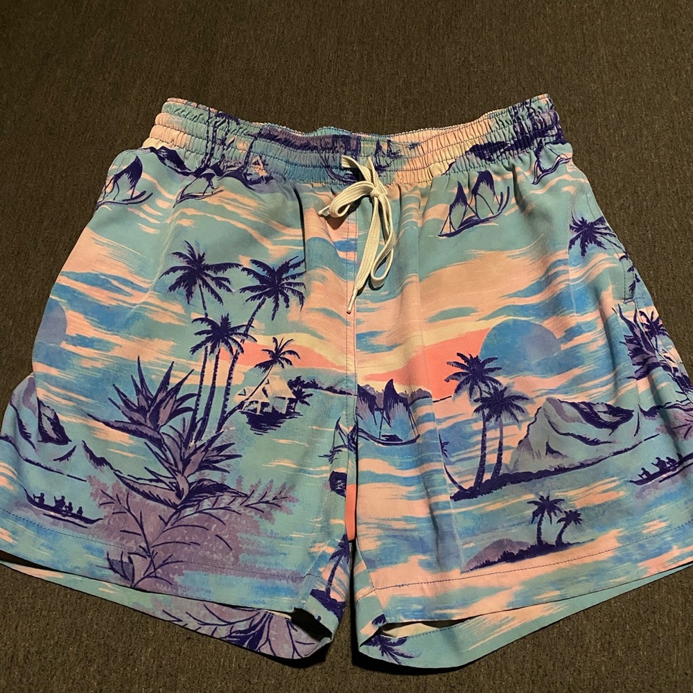 Chubbies 4' swim trunks